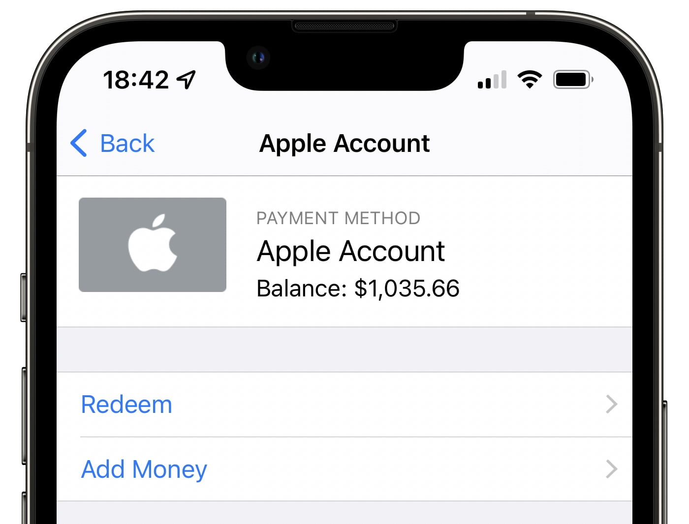 How to Redeem iTunes Gift Cards on iPhone & Check the Balance